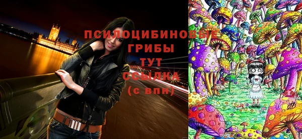 экстази Арсеньев