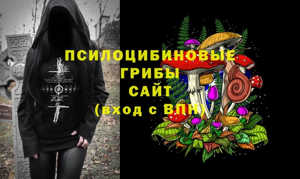 мдпв Вяземский