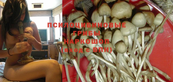 экстази Арсеньев
