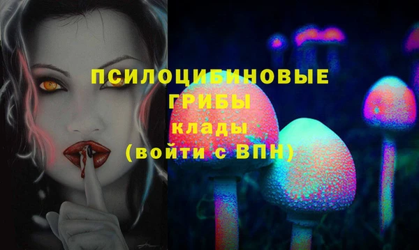 экстази Арсеньев