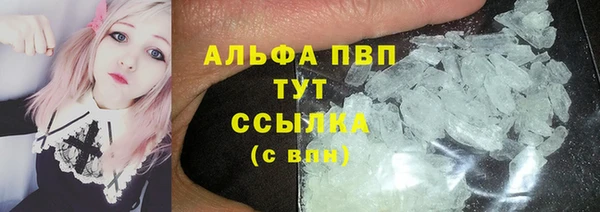 шишки Армянск