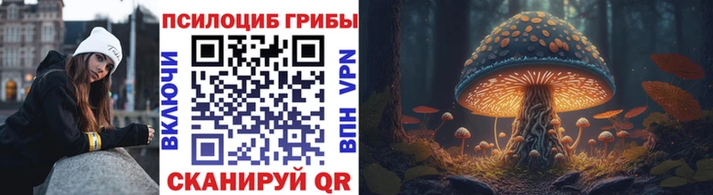 Галлюциногенные грибы Psilocybine cubensis даркнет сайт Дюртюли